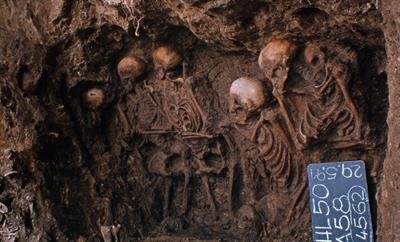 Ancient DNA Study in Medieval Europeans Shows an Association Between HLA-DRB1*03 and Paratyphoid Fever